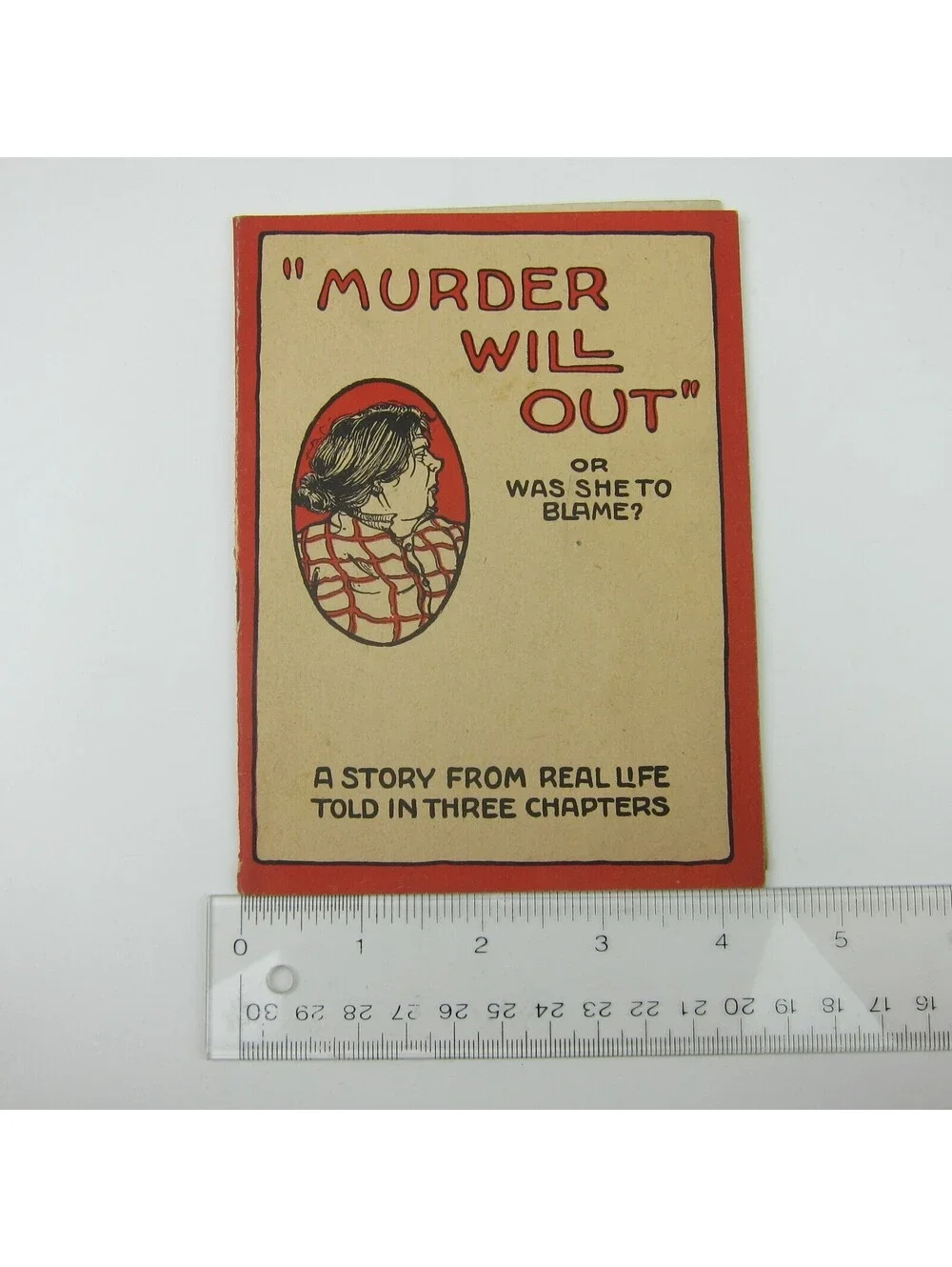 FW McNess Sanitary Medicines Murder Will Out Ad Booklet Lincoln Illinois Antique